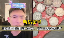 91听泉鉴宝直播在哪看,揭秘古董珍宝鉴定之旅