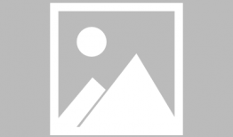 两只老虎视频,萌宠互动，欢乐无限